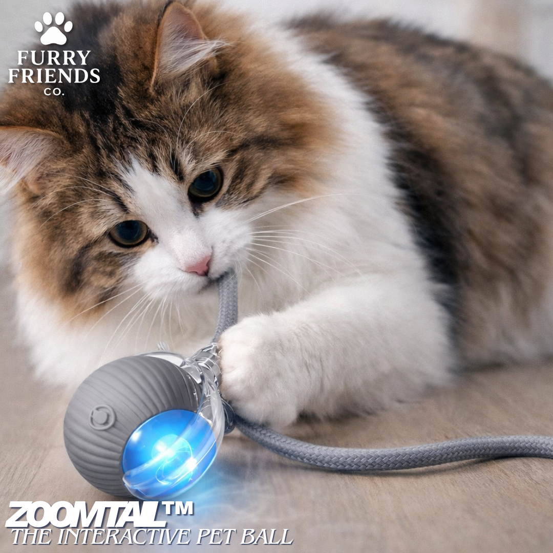 ZoomTail™ - The Interactive Pet Ball