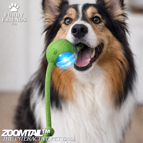 ZoomTail™ - The Interactive Pet Ball