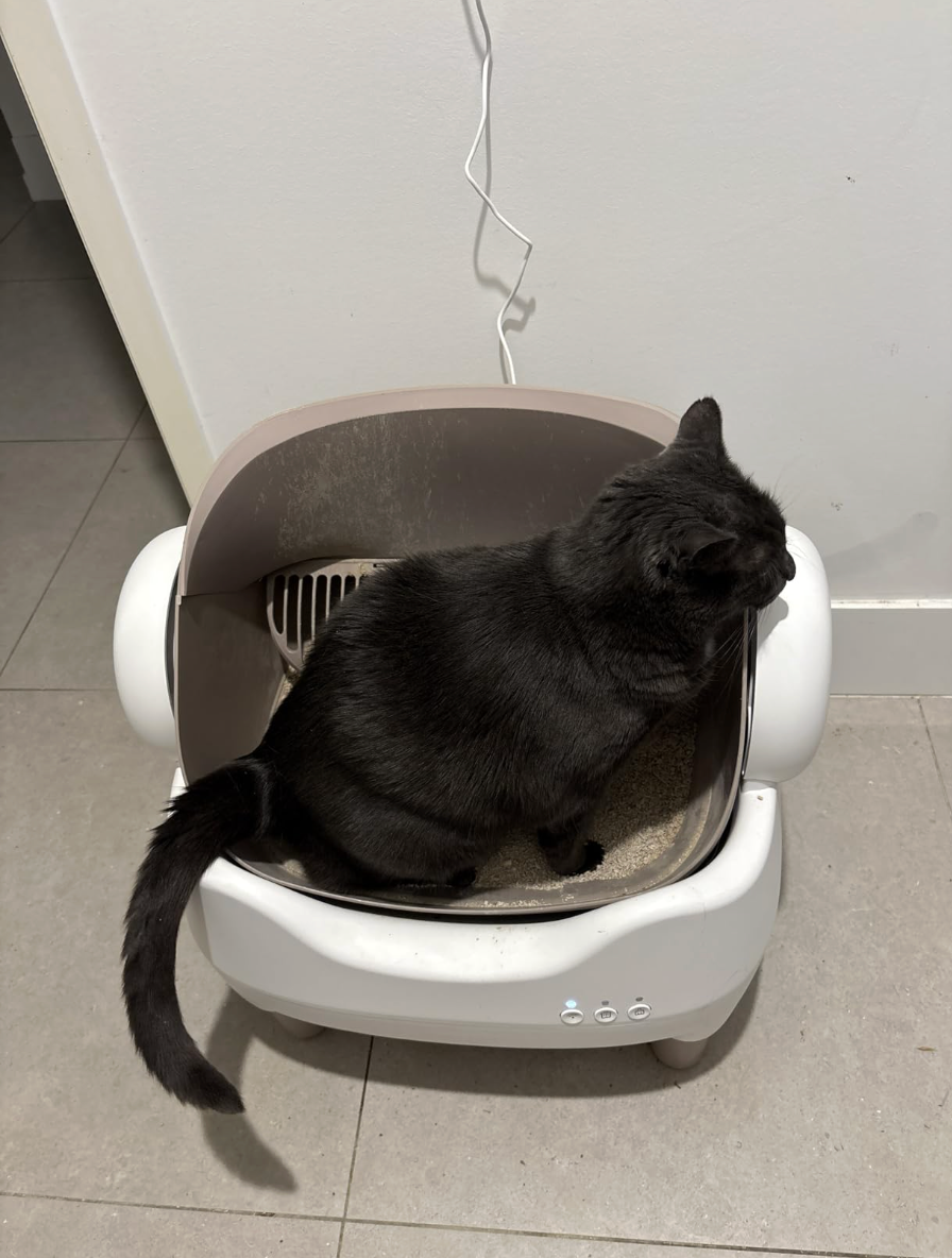 <h2>Trusted by customers who rely on the PurrClean Pro 2™ every day</h2>