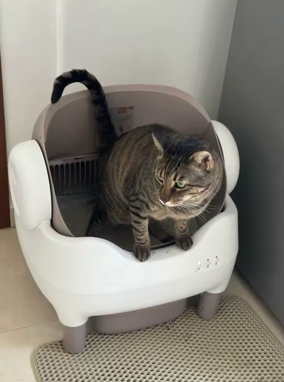 <h2>Trusted by customers who rely on the PurrClean Pro 2™ every day</h2>