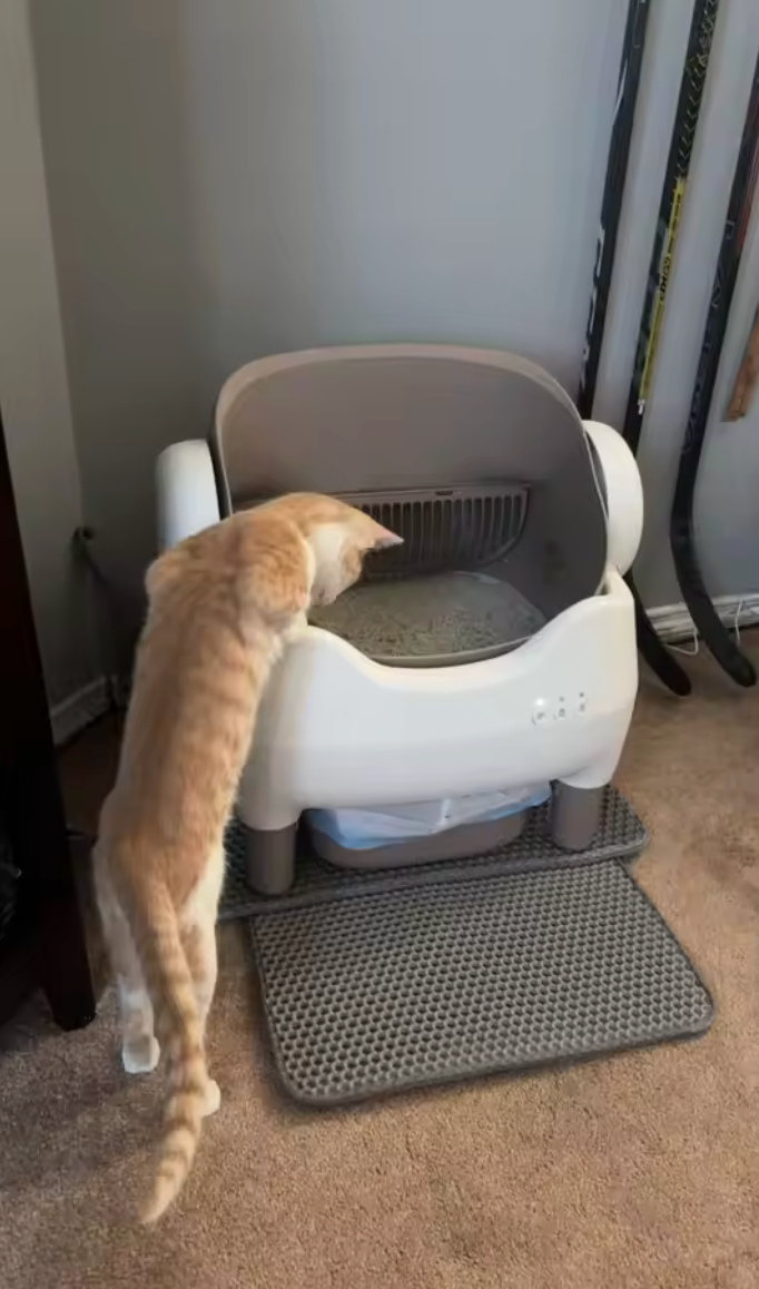 <h2>Trusted by customers who rely our products every day</h2>