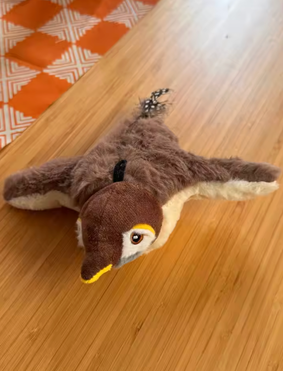 <h2>Trusted by customers who rely on the PurrFlapper™ every day</h2>