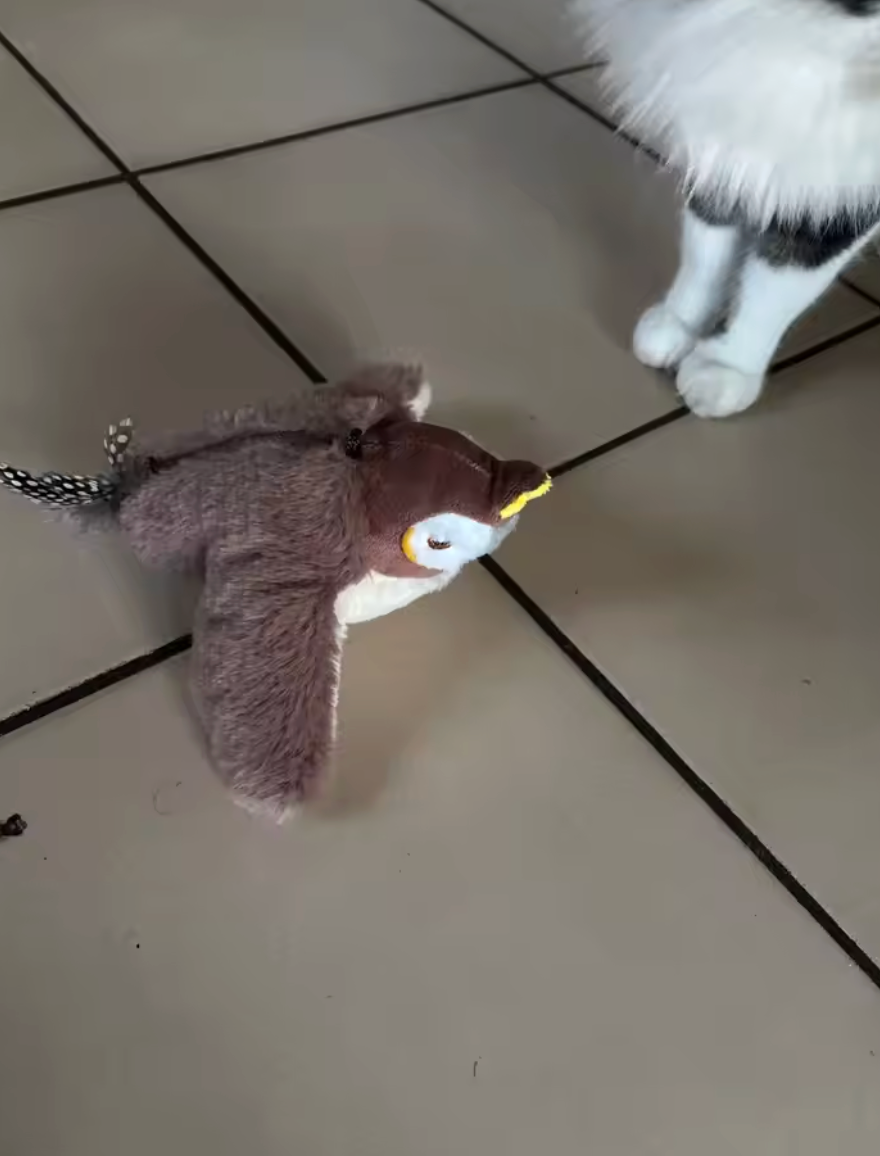 <h2>Trusted by customers who rely on the PurrFlapper™ every day</h2>