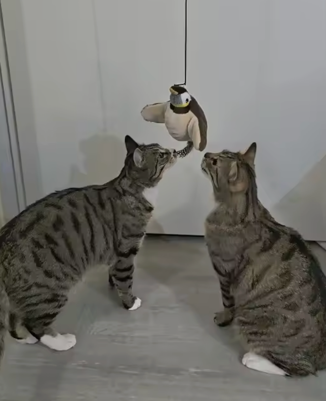 <h2>Trusted by customers who rely on the PurrFlapper™ every day</h2>