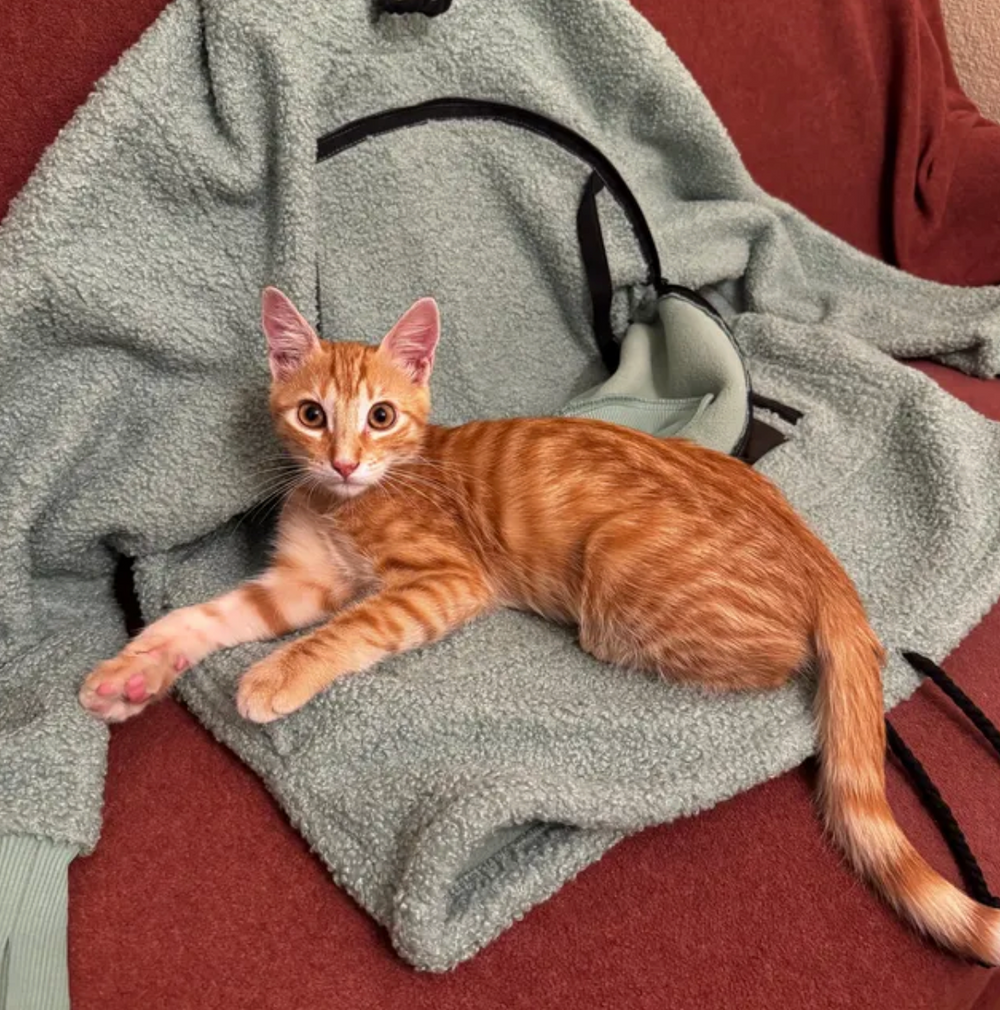 <h2>Trusted by customers who rely our products every day</h2>