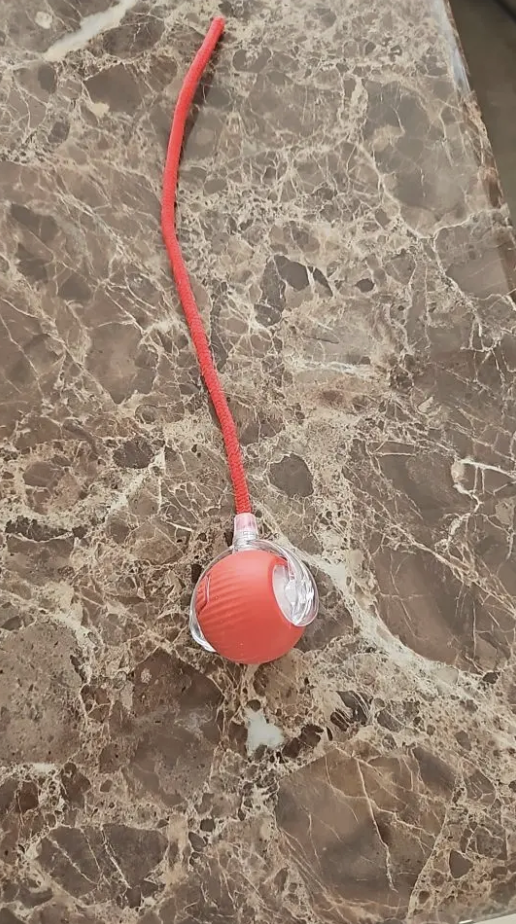 <h2>Trusted by customers who rely on the ZoomTail™ every day</h2>