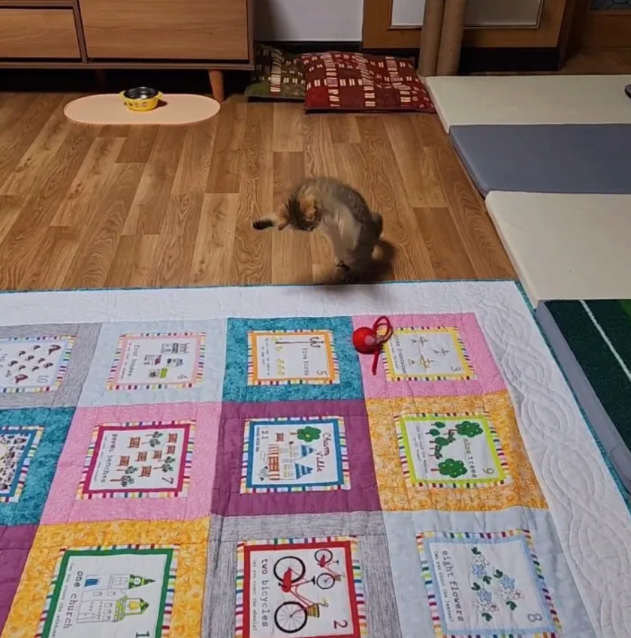 <h2>Trusted by customers who rely on the ZoomTail™ every day</h2>