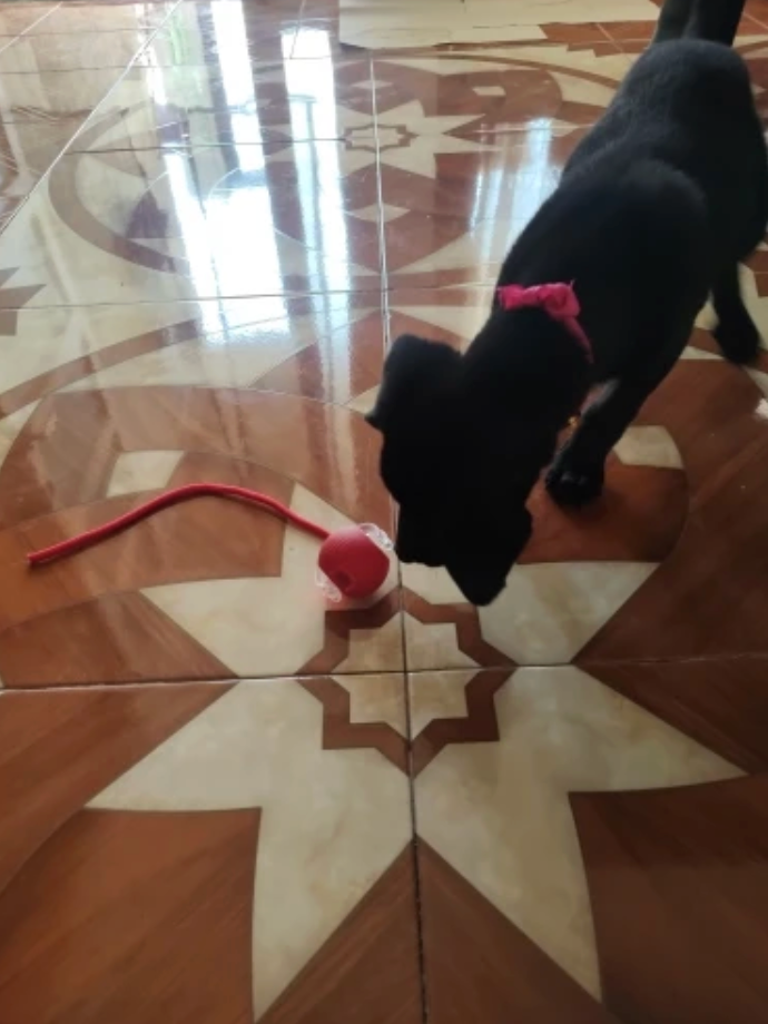 <h2>Trusted by customers who rely on the ZoomTail™ every day</h2>